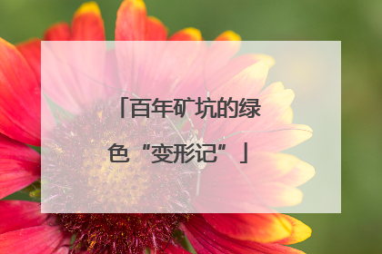 百年矿坑的绿色“变形记”