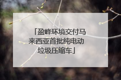 盈峰环境交付马来西亚首批纯电动垃圾压缩车