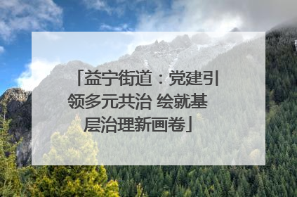 益宁街道：党建引领多元共治 绘就基层治理新画卷