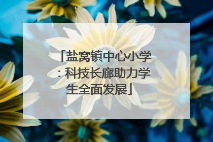 盐窝镇中心小学：科技长廊助力学生全面发展