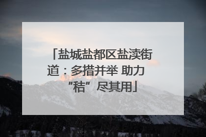 盐城盐都区盐渎街道：多措并举 助力“秸”尽其用
