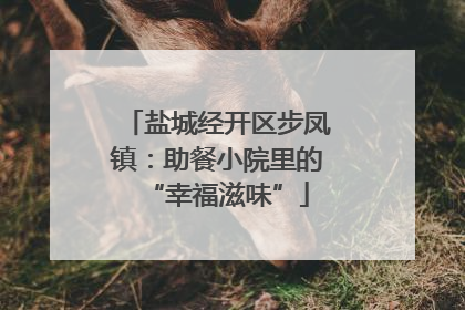 盐城经开区步凤镇：助餐小院里的“幸福滋味”