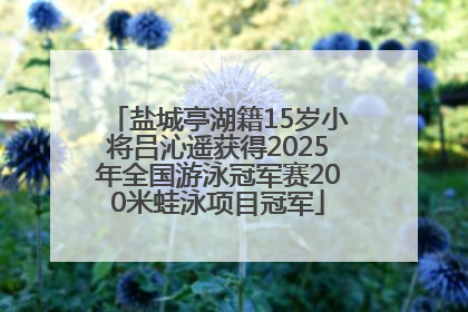 盐城亭湖籍15岁小将吕沁遥获得2025年全国游泳冠军赛200米蛙泳项目冠军