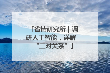 省情研究所｜调研人工智能，详解“三对关系”