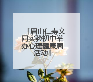 眉山仁寿文同实验初中举办心理健康周活动