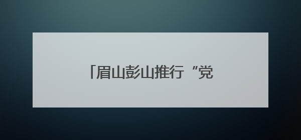 眉山彭山推行“党建+政务服务”模式 精准惠企便民
