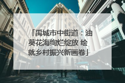 禹城市中街道：油葵花海绚烂绽放 绘就乡村振兴新画卷