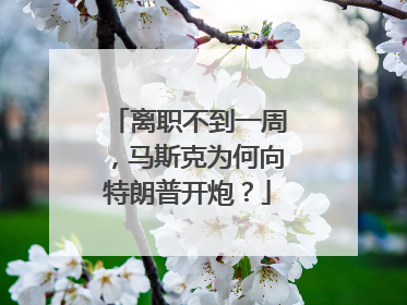 离职不到一周，马斯克为何向特朗普开炮？