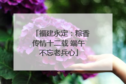 福建永定：粽香传情十二载 端午不忘老兵心