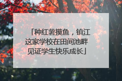 种红薯摸鱼，镇江这家学校在田间池畔见证学生快乐成长