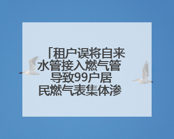 租户误将自来水管接入燃气管 导致99户居民燃气表集体渗水 “爆表”