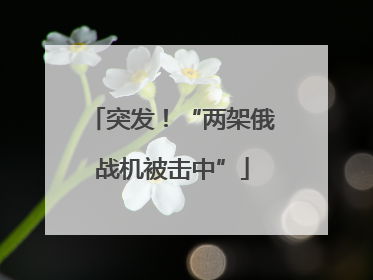 突发！“两架俄战机被击中”