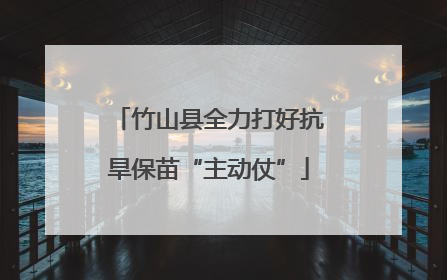 竹山县全力打好抗旱保苗“主动仗”