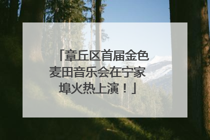 章丘区首届金色麦田音乐会在宁家埠火热上演！