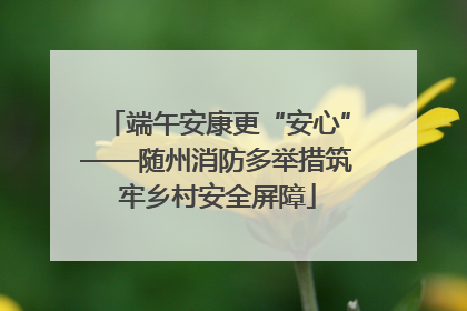 端午安康更“安心”——随州消防多举措筑牢乡村安全屏障