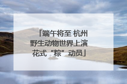 端午将至 杭州野生动物世界上演花式“粽”动员