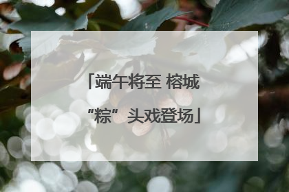 端午将至 榕城“粽”头戏登场