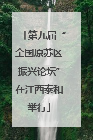 第九届“全国原苏区振兴论坛”在江西泰和举行
