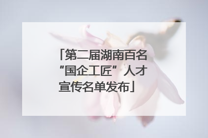 第二届湖南百名“国企工匠”人才宣传名单发布
