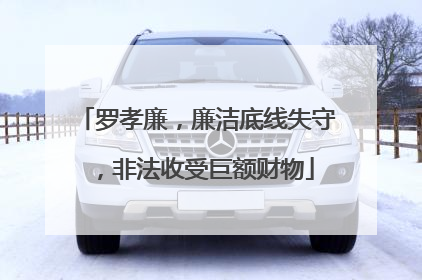 罗孝廉，廉洁底线失守，非法收受巨额财物