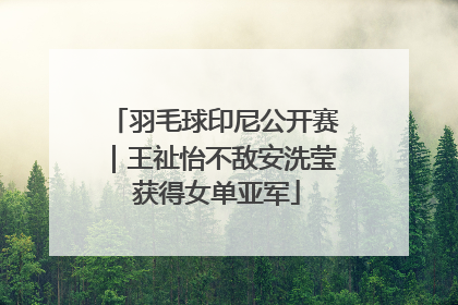羽毛球印尼公开赛｜王祉怡不敌安洗莹 获得女单亚军