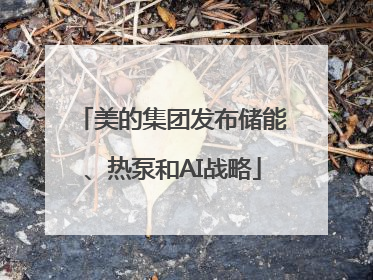 美的集团发布储能、热泵和AI战略