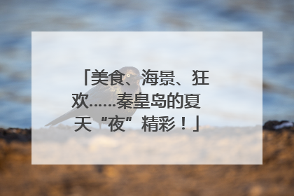 美食、海景、狂欢……秦皇岛的夏天“夜”精彩！