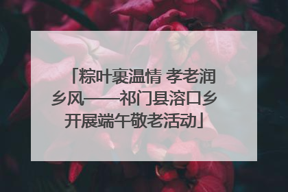 粽叶裹温情 孝老润乡风——祁门县溶口乡开展端午敬老活动