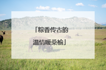 粽香传古韵 温情暖桑榆