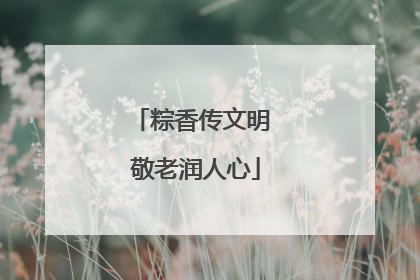 粽香传文明 敬老润人心