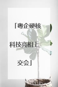 粤企硬核科技亮相上交会