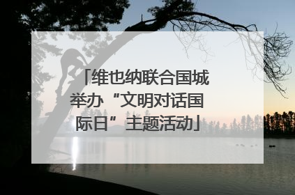 维也纳联合国城举办“文明对话国际日”主题活动