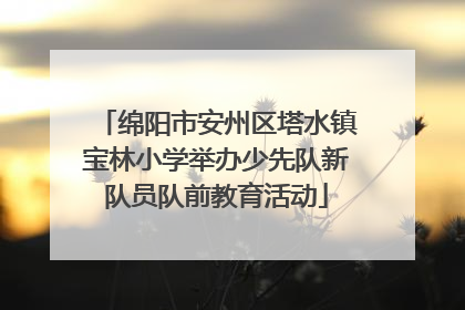 绵阳市安州区塔水镇宝林小学举办少先队新队员队前教育活动