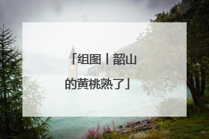 组图丨韶山的黄桃熟了