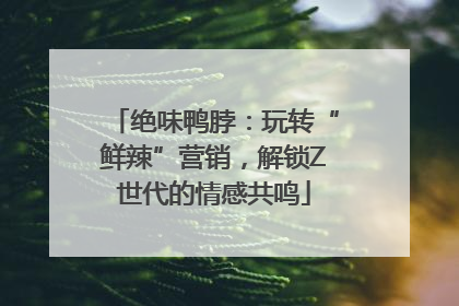 绝味鸭脖：玩转“鲜辣”营销，解锁Z世代的情感共鸣
