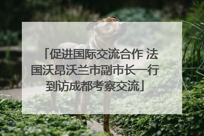 促进国际交流合作 法国沃昂沃兰市副市长一行到访成都考察交流