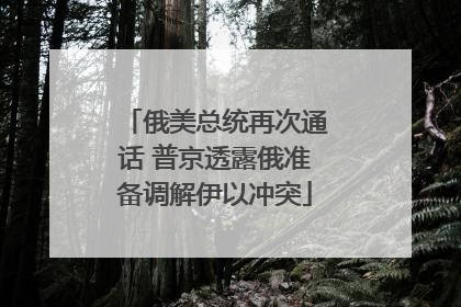 俄美总统再次通话 普京透露俄准备调解伊以冲突