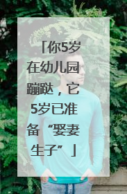 你5岁在幼儿园蹦跶，它5岁已准备“娶妻生子”