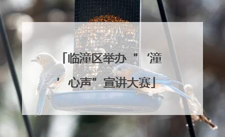 临潼区举办“‘潼’心声”宣讲大赛