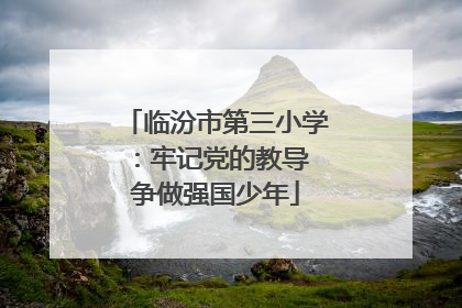 临汾市第三小学：牢记党的教导 争做强国少年