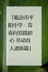 临汾市平阳中学：青春向党践初心 劳动育人谱新篇