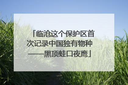 临沧这个保护区首次记录中国独有物种——黑顶蛙口夜鹰