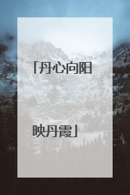 丹心向阳映丹霞