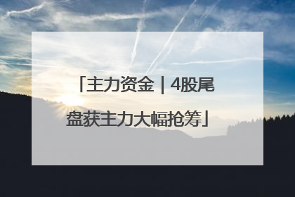 主力资金｜4股尾盘获主力大幅抢筹