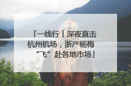 一线行丨深夜直击杭州机场，浙产杨梅“飞”赴各地市场