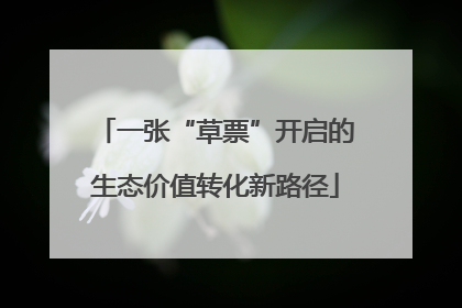 一张“草票”开启的生态价值转化新路径