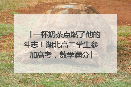 一杯奶茶点燃了他的斗志！湖北高二学生参加高考，数学满分