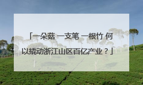 一朵菇 一支笔 一根竹 何以撬动浙江山区百亿产业？