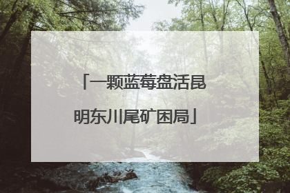 一颗蓝莓盘活昆明东川尾矿困局