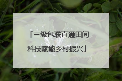 三级包联直通田间 科技赋能乡村振兴